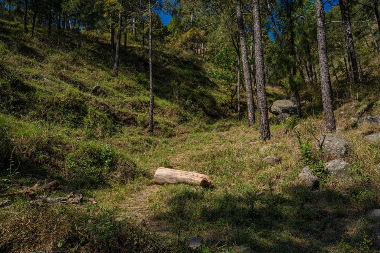 Stayvista At Floradale W Jacuzzi & Wood-Fire Pizza Kasauli Luaran gambar